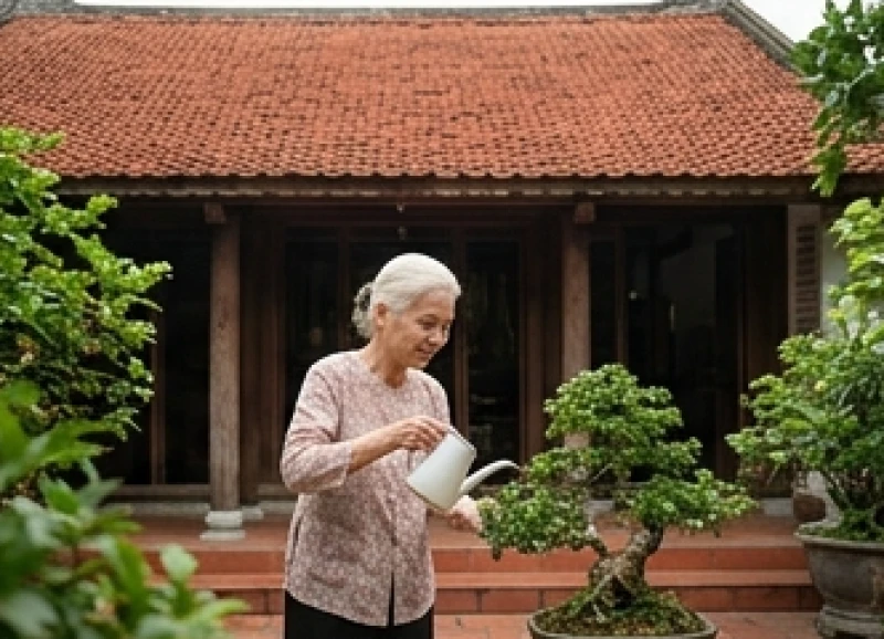 Tử vi trọn đời tuổi Quý Mùi 1943 nữ mạng: Diễn biến các mốc tuổi 6 Cụ bà mái tóc bạc phơ đang ngồi thảnh thơi tưới nước cho chậu cây bonsai nhỏ ngoài hiên nhà lợp ngói đỏ