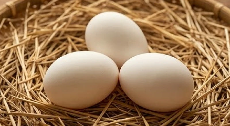 Ba quả trứng ngỗng xếp ngay ngắn thành thế chân kiềng trên chiếc nệm rơm