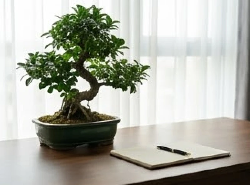 Mầm cây vươn lên mạnh mẽ tượng trưng cho nạp âm Đại Lâm Mộc của tuổi mậu thìn 1988