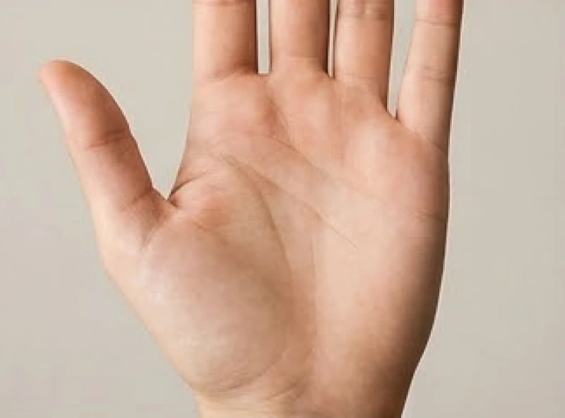 Đường sự nghiệp ngắn: Luận giải ý nghĩa và hướng hóa giải 5 Bàn tay phẳng và mịn màng, vắng bóng các đường chỉ tay chạy dọc lên khu vực ngón tay giữa