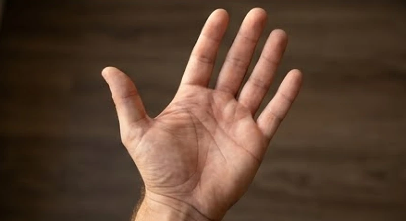 Lòng bàn tay trái của nam giới với các đường chỉ sâu thể hiện sự vững vàng trong sự nghiệp