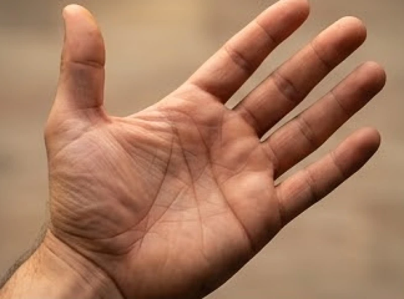 Nốt ruồi trong lòng bàn tay trái nam: Luận từng gò và đường chỉ 1 Bàn tay trái nam giới mở rộng thể hiện đường chỉ tay và yếu tố vận mệnh tiên thiên bẩm sinh