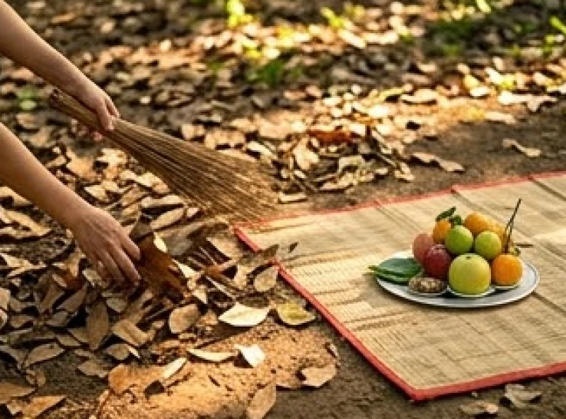 Văn khấn cây đa cổ thụ: Bài cúng chuẩn tâm linh & cách sắm lễ 8 Quét dọn sạch sẽ lá khô và trải chiếu nhỏ để đặt mâm lễ dưới tán cây