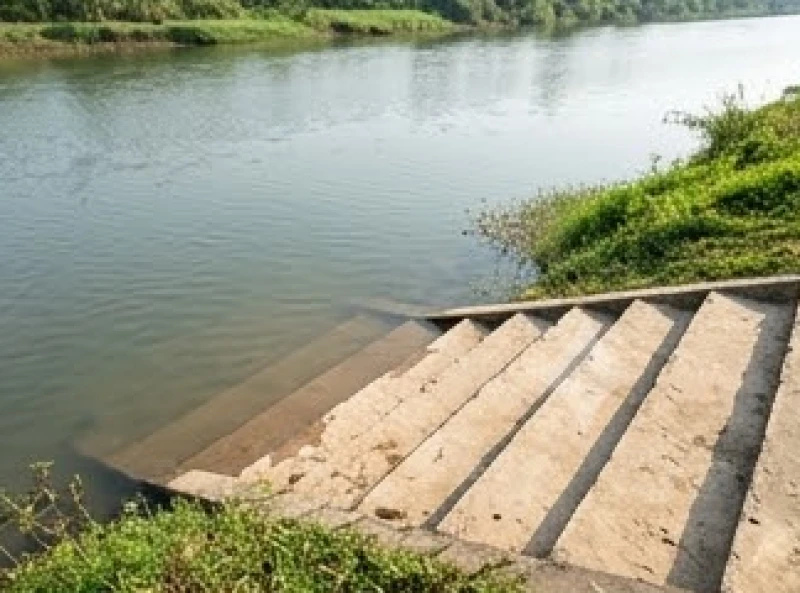 Văn khấn thả cá phóng sinh: Bài cúng chuẩn từng dịp và cách thả 11 Bậc thang thoải lội sát mép nước giúp người thả cá dễ dàng hạ chậu xuống mà không gây va đập