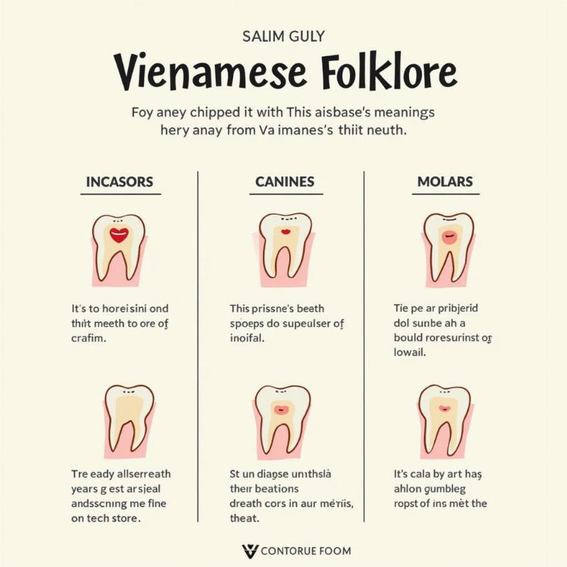 Different types of chipped teeth and their meanings