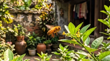 Cảnh tượng tổ ong vàng tự nhiên xuất hiện trong vườn nhà ở Việt Nam và ý nghĩa bị ong đốt là điềm gì