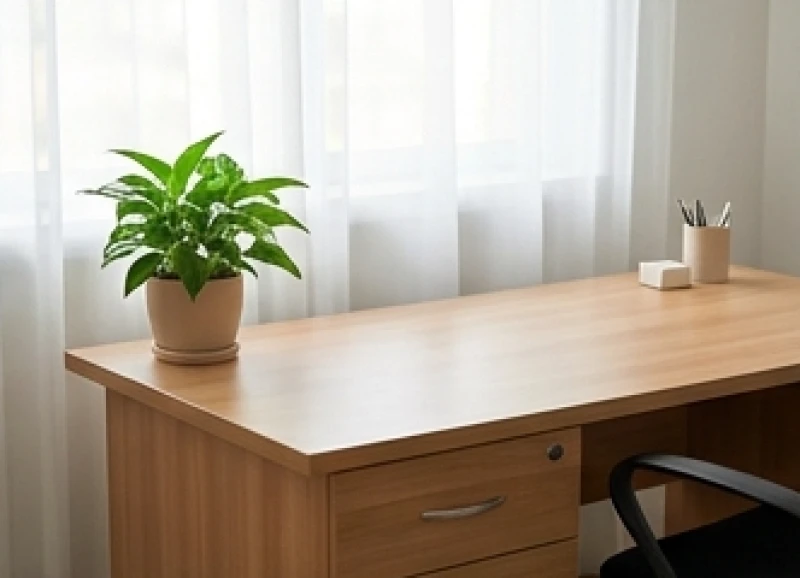 Tuổi Sửu hợp cây gì: Chọn đúng niên mệnh và hướng bài trí 6 Chậu cây xanh đặt ở góc trái bàn làm việc theo nguyên lý ngũ hành Tả Thanh Long
