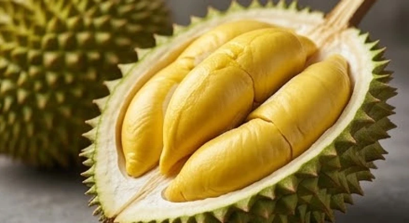 Múi sầu riêng vàng óng ả lộ ra sau lớp vỏ gai góc tượng trưng cho kết quả viên mãn đạt được