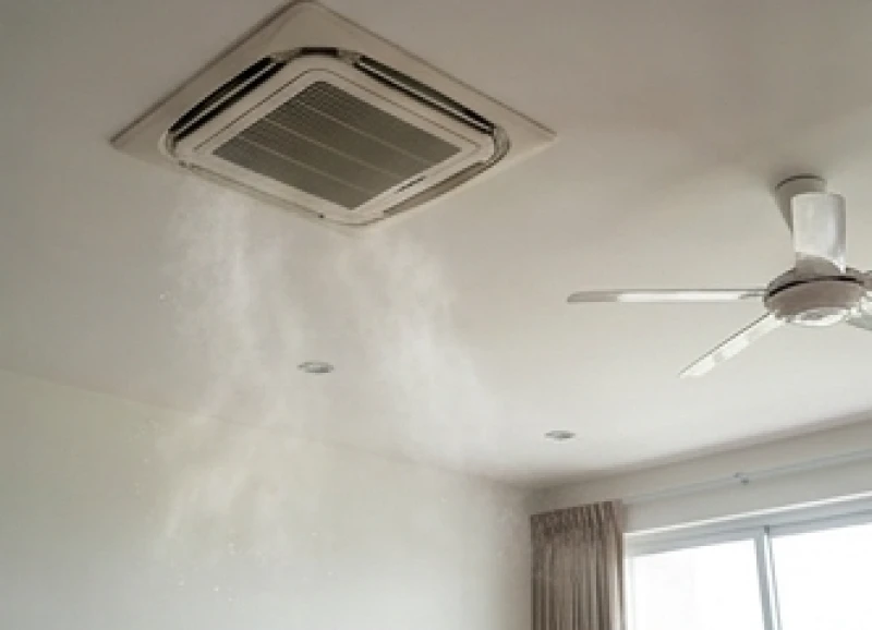 Luồng gió từ quạt trần có thể vô tình khuếch tán bụi bẩn mang mầm bệnh từ chất thải chuột xuống phòng