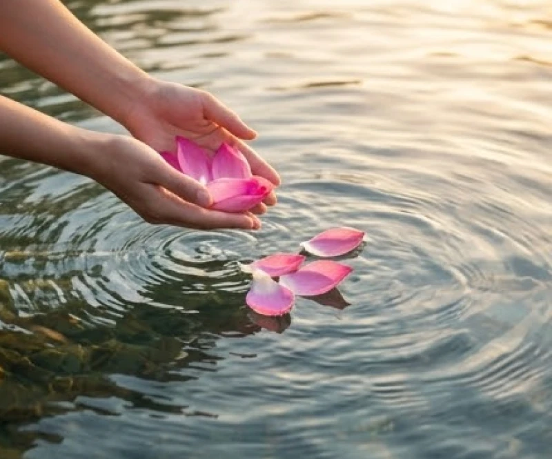 Đôi bàn tay nhẹ nhàng thả những cánh hoa trôi theo dòng nước trong veo tượng trưng cho sự buông bỏ