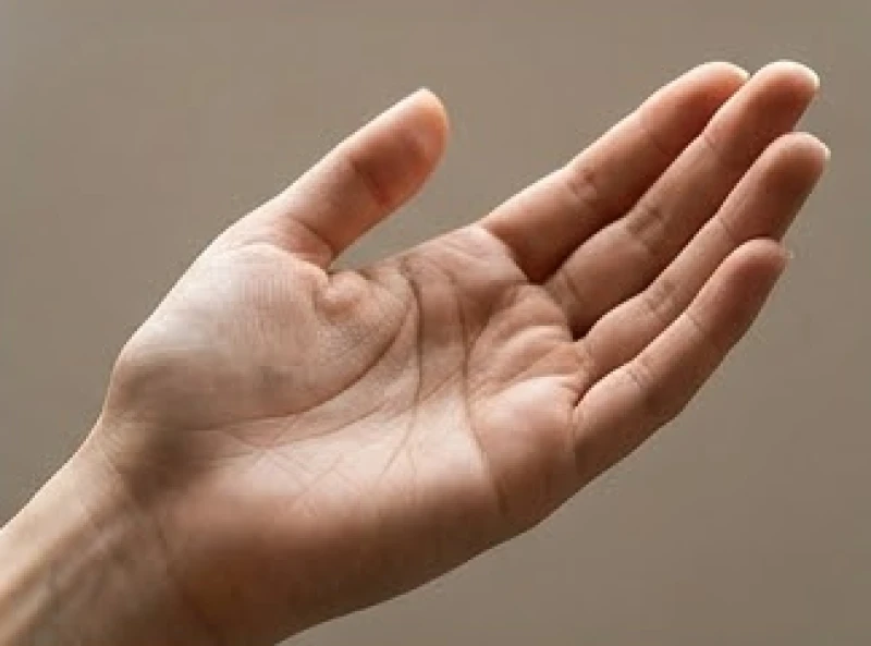 Bản đồ các đường chỉ tay chính bao gồm sinh đạo, trí đạo và tâm đạo trên lòng bàn tay người