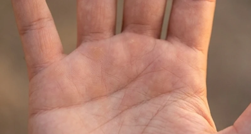 Đường tình duyên cong lên: Giải mã ý nghĩa 3 vị trí kết thúc 3 Lòng bàn tay với các điểm gò thịt nổi rõ dưới gốc ngón trỏ và ngón giữa