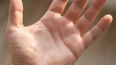 Bàn tay mở rộng dưới ánh sáng tự nhiên để lộ rõ các gò trên bàn tay, thể hiện cấu trúc 9 vùng trong nhân tướng học.