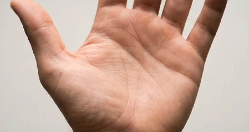 Gò Hỏa Tinh trên bàn tay: Quy tắc định vị và giải mã hình thái 1 Sơ đồ năng lượng trong lòng bàn tay với các gò nổi bắp thịt bao quanh trung tâm