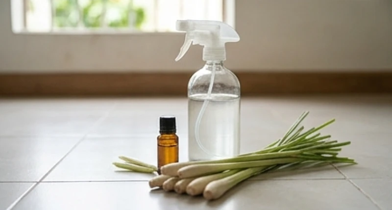 Chuột xạ kêu trong nhà là điềm gì: Giải mã & cách khử mùi hôi 6 Hỗn hợp giấm trắng và tinh dầu sả chanh giúp làm sạch hoàn toàn mùi hôi hắc đặc trưng mà chuột xạ để lại trên sàn nhà
