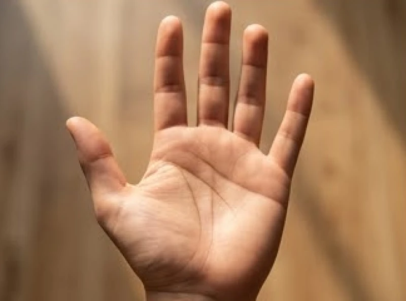 Góc nhìn trực diện lòng bàn tay minh họa phương pháp gióng các đường thẳng từ kẽ ngón tay xuống để tính mốc tuổi