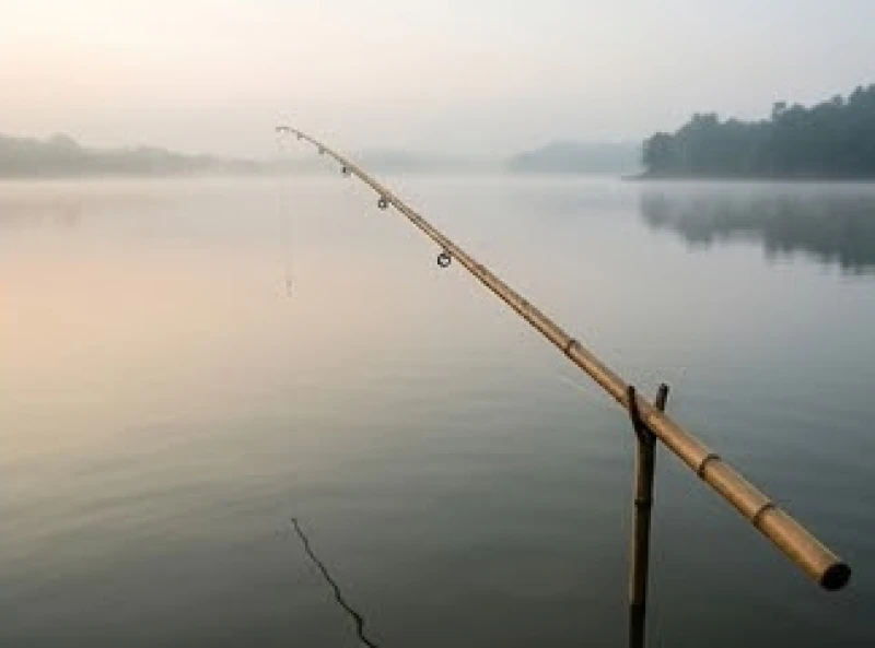 Chiếc cần câu buông tĩnh lặng trên mặt hồ phẳng lặng thể hiện sự nhẫn nại và chờ thời cơ đến