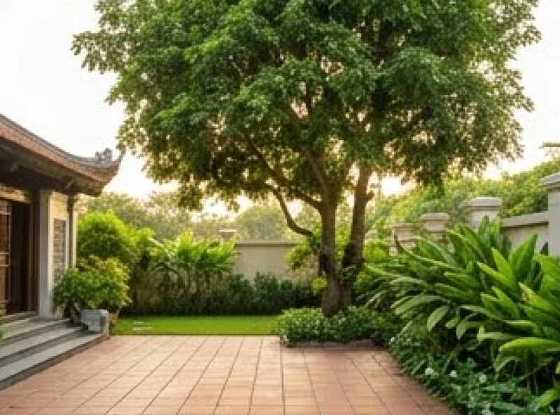 Cây trồng ngoài sân hợp tuổi Dần: phân khu và cây bóng mát 1 Khoảng sân trước nhà trồng cây thân gỗ lớn tỏa bóng mát giúp tạo luồng sinh khí luân chuyển