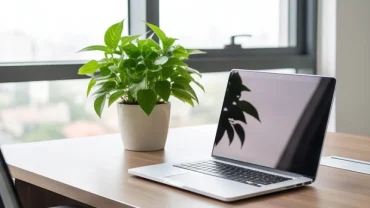 Chậu cây phong thủy nhỏ gọn đặt trên bàn làm việc hiện đại giúp người tuổi Ngọ thu hút tài lộc