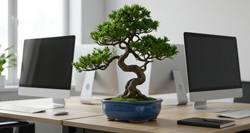 Tứ hành xung tuổi Sửu: Đánh giá nạp âm và quy tắc hóa giải 8 Chậu cây xanh nhỏ nhắn đặt trên bàn làm việc văn phòng giúp trung hòa năng lượng và giảm bớt căng thẳng