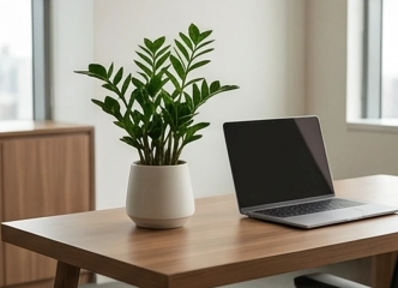 Chậu cây cảnh mini được đặt ngay ngắn cạnh góc làm việc mang lại không gian xanh mát dịu nhẹ