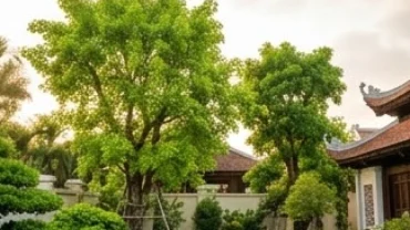 Cây trồng ngoài sân hợp tuổi Dần phát triển xanh tốt, mang lại sinh khí và tài lộc cho không gian sống