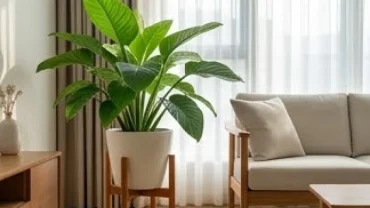 Chậu cây trồng trong nhà hợp tuổi ngọ xanh tốt đặt trong không gian phòng khách hiện đại ngập tràn ánh sáng