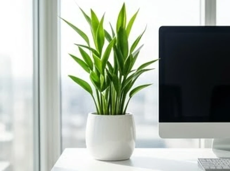 Một chậu cây nhỏ xanh tươi vươn cao được đặt tinh tế ở góc bên trái của mặt bàn làm việc.