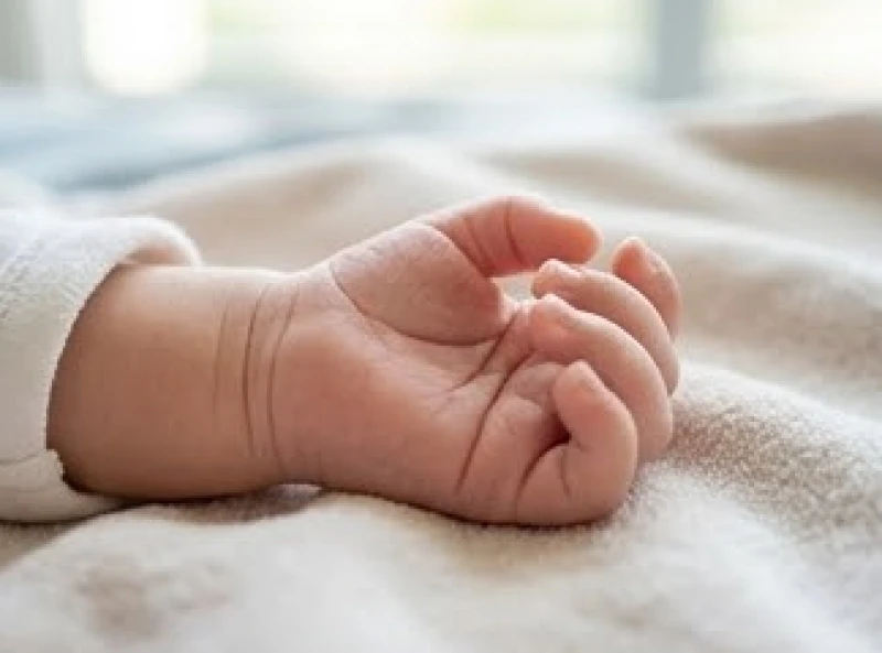 Có nên tin vào đường chỉ tay không: Giải mã từ y học và tâm lý 1 Bàn tay nhỏ bé của trẻ sơ sinh với các đường nếp gấp sinh lý đã hoàn thiện rõ nét từ khi chào đời