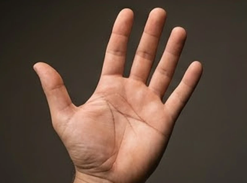 Bàn tay trái của nam giới hướng lên trên với đường rãnh ngang đậm nét vắt qua trung tâm