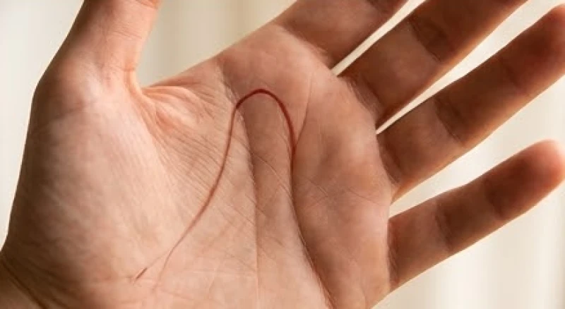 Đường tâm đạo nằm ở đâu: Cách xác định chuẩn và đọc vị tình duyên 6 Đường tâm đạo kết thúc tại kẽ hở giữa ngón trỏ và ngón giữa biểu thị sự dung hòa giữa lý trí và cảm xúc