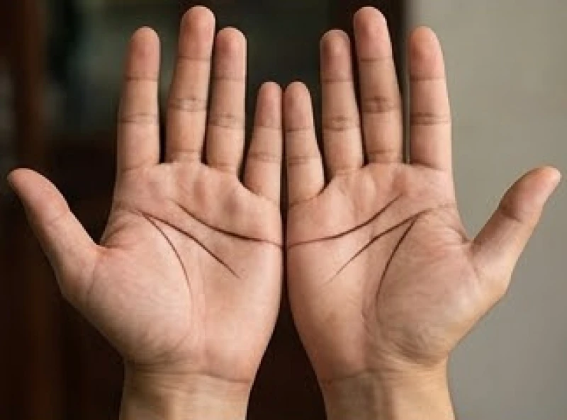 Lòng bàn tay trái và phải có nét chỉ Tâm Đạo dài sâu và tương đồng với nhau