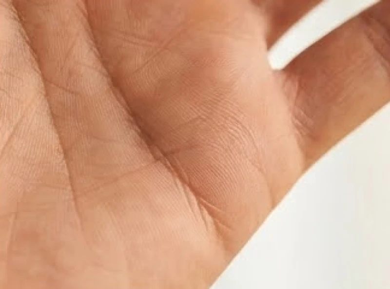 Đường chỉ tay xuất phát từ một điểm chung nhưng khi kéo dài vào lòng bàn tay thì lại tẽ ra làm hai nhánh phân kỳ