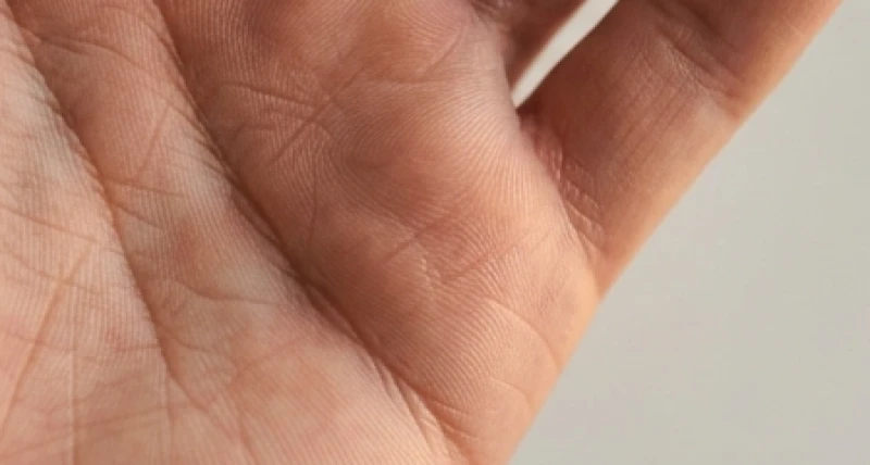 Đường tiền tài nằm ở đâu: Vị trí chính xác và quy tắc chọn tay xem 7 Đường chỉ tay tài lộc ngắn nhưng hằn sâu và sắc nét dưới ánh sáng tự nhiên rực rỡ