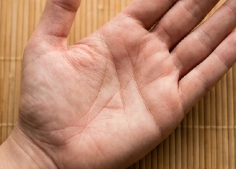 Lòng bàn tay trái của nữ giới với các đường vân nổi bật tại vị trí đường trí đạo mang điềm báo điền sản