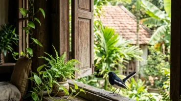 Hình ảnh một chú chim lông đen đậu trên bậu cửa sổ gỗ, gợi mở thắc mắc chim đen bay vào nhà là điềm gì