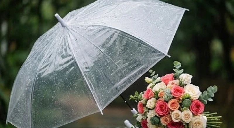 Trời mưa trong ngày cưới là điềm gì: Ý nghĩa và mẹo ứng phó 4 Chiếc ô trong suốt và các vật dụng dự phòng được chuẩn bị sẵn sàng để ứng phó với cơn mưa bất chợt trong lễ cưới