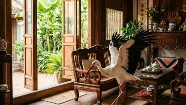 Hiện tượng con cò bay vào nhà là điềm gì theo phong thủy và cách xử lý an toàn cho gia đình