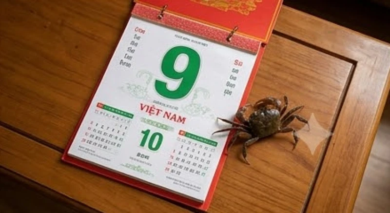 Một chú cua nằm cạnh quyển lịch vạn niên truyền thống đặt trên mặt bàn gỗ ấm cúng