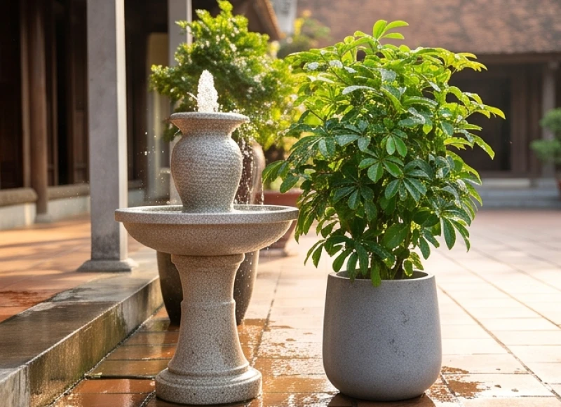 Cây trồng ngoài sân hợp tuổi Tỵ: chịu nắng gió và hướng đặt 6 Đài phun nước tiểu cảnh bằng đá đặt ngay cạnh chậu xi măng xám trồng cây ngũ gia bì xanh tốt