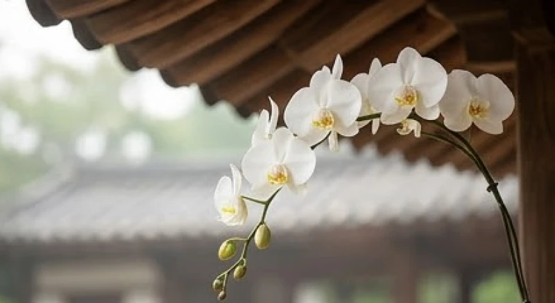 Đặt tên con sinh năm Kỷ Hợi 2019: Tên hay hợp mệnh & tránh kỵ 7 Cành hoa lan thanh tao nở rộ dưới mái hiên tượng trưng cho tên đẹp bé gái