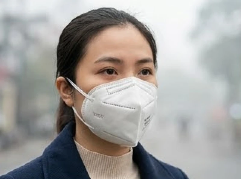 Sức khỏe tuổi Ngọ: Phác đồ dưỡng sinh và bố trí không gian 5 Người đi đường đeo khẩu trang y tế chuẩn N95 để bảo vệ hệ hô hấp trong ngày sương mù