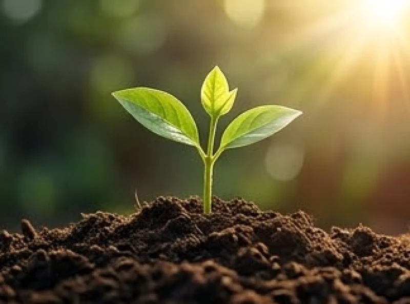 Mơ thấy rụng răng không chảy máu: Điềm báo và mẹo hóa giải 2 Mầm cây xanh tươi vươn lên từ mặt đất đại diện cho cơ hội mới sau giấc mộng rụng răng êm đẹp