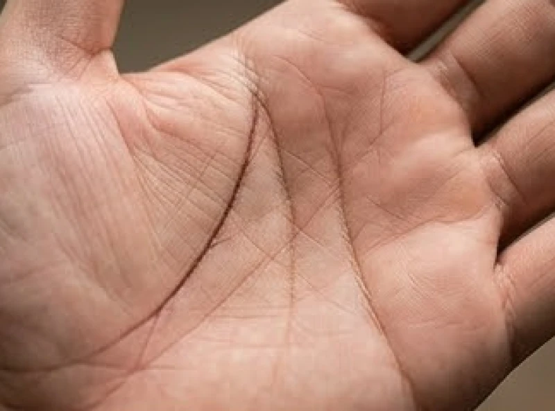 Xác định điểm mờ dần và kết thúc của đường Tâm Đạo ở khu vực dưới các ngón tay