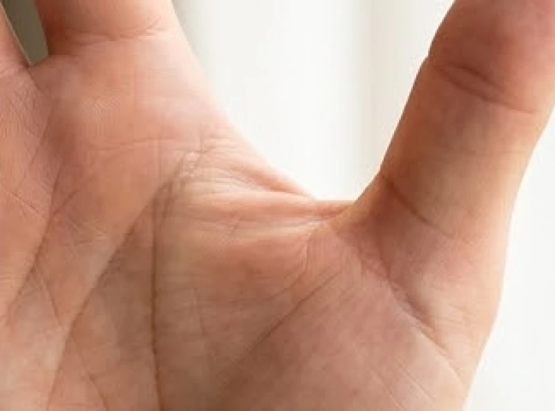 Vị trí bắt đầu của đường chỉ tay học vấn nằm ngay phần thịt giữa ngón cái và ngón trỏ