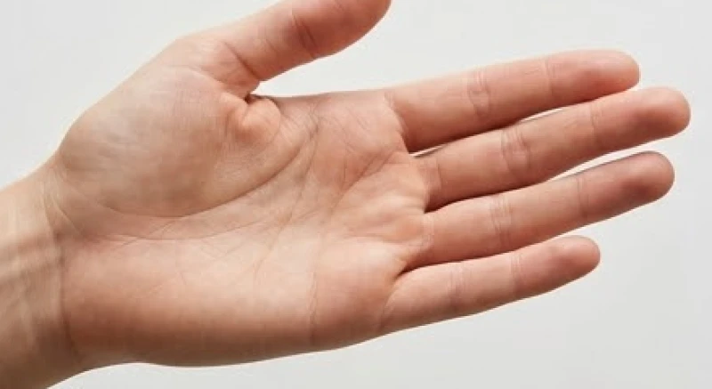 Tướng bàn tay dài: Hướng dẫn đo chuẩn xác và ý nghĩa vận mệnh 4 Bàn tay mở rộng để lộ rõ nếp gấp ở gốc ngón giữa giúp so sánh tỷ lệ độ dài với tổng thể lòng bàn tay