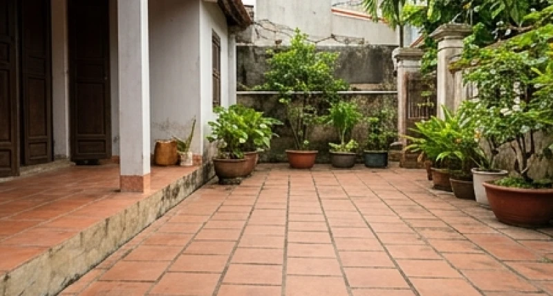Khu vực hiên nhà và chân tường được quét dọn sạch sẽ không còn rác rưởi hay lá cây mục nát