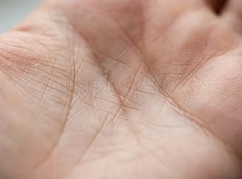 Nhánh nhỏ rẽ hướng lên trên đường tâm đạo ở khoảng cách giữa ngón giữa và ngón trỏ
