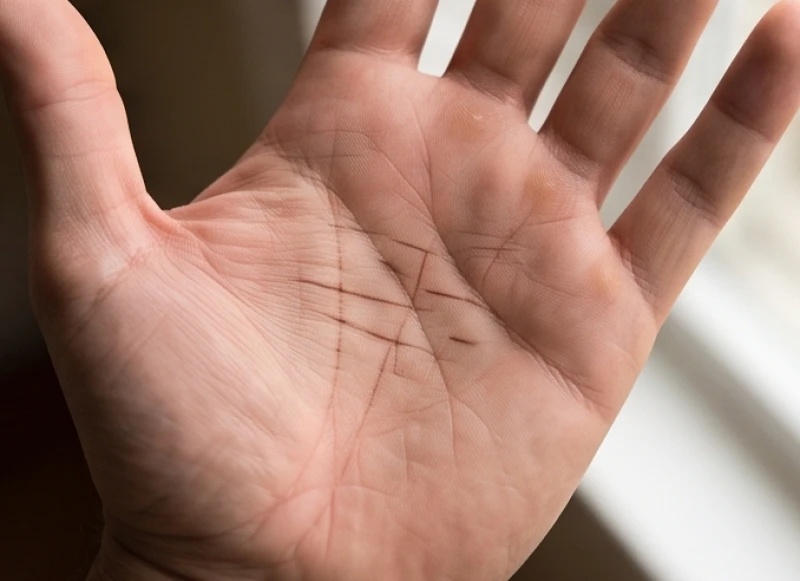 Nhiều vạch nhỏ chạy ngang cắt đứt đường chỉ dọc trên lòng bàn tay nam giới