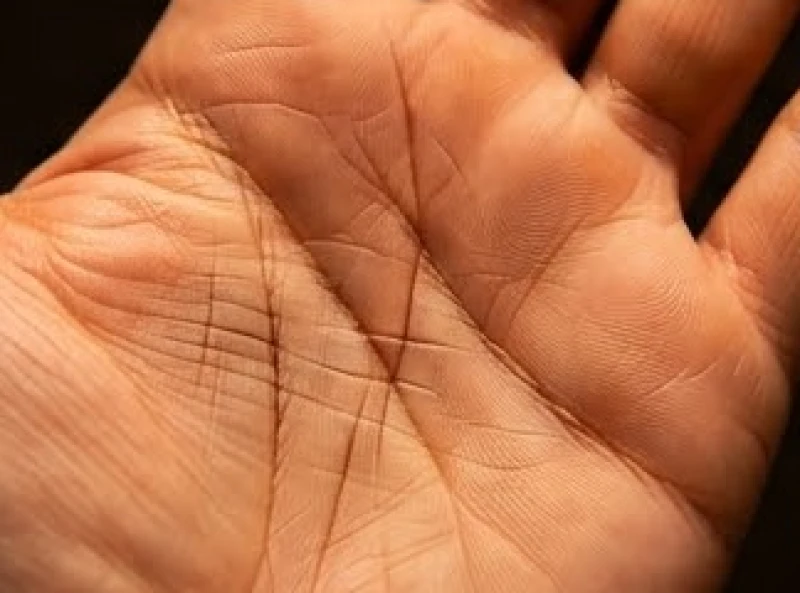 Đường chỉ tay Thái Dương: Vị trí, ý nghĩa và quy tắc xem chuẩn 9 Đường vân chính trên lòng bàn tay bị ngắt quãng thành nhiều khúc do các nếp gấp ngang cắt qua